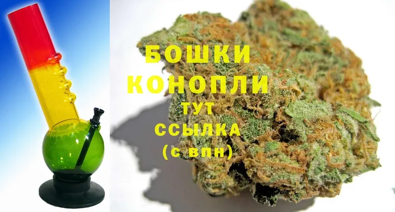 Конопля конопля  Тверь 